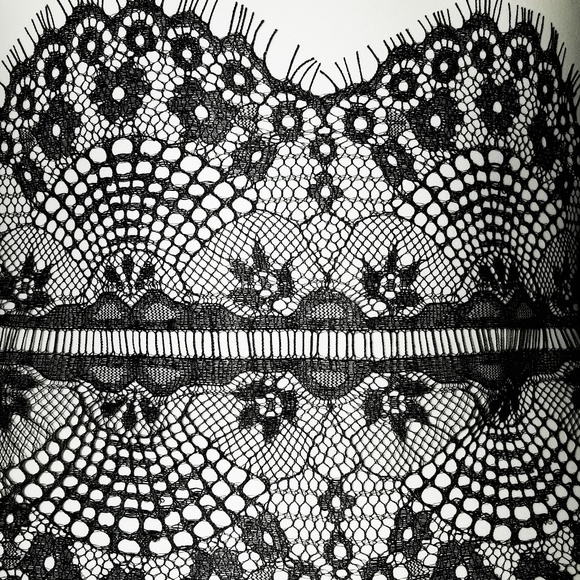 Sexy Black Chantilly Lace High Waisted Garter Belt - Picture 5 of 8